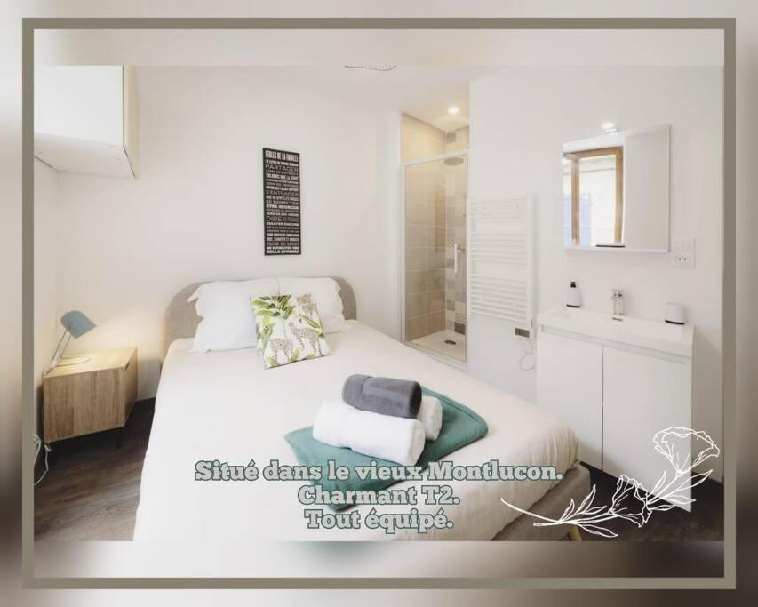 Charmant Deux Pieces Dans Le Vieux Montluçon Extérieur photo